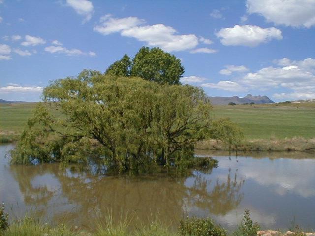 Vila Royal Coachman Clarens Exteriér fotografie